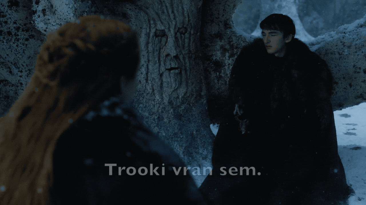 Sansa in Bran v Igri prestolov