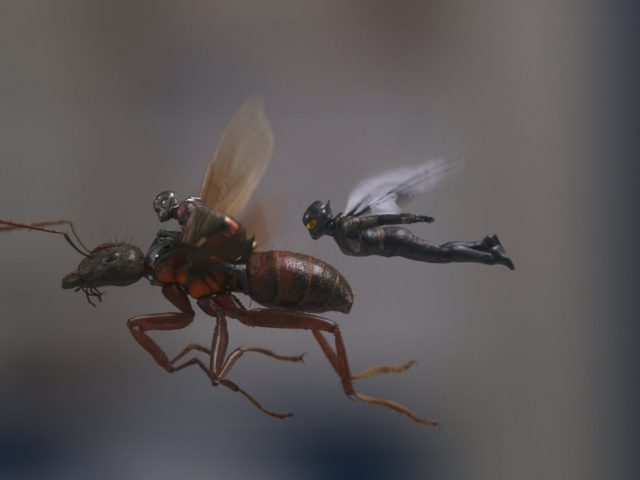 Podkast O.B.O.D.: Mravlja-mož in osa, njam njam
